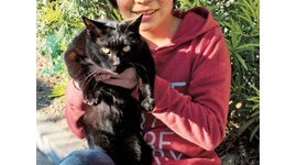 【話題】猫の殺処分を題材にした作文「78円の命」が共感呼ぶ → ネット民「殺処分費用と命の価格は同じじゃないだろ」と批判殺到