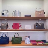 『マウロ ゴヴェルナ』の画像