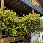 さもない日々のこと。