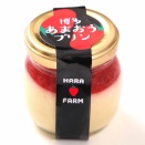 九州のスイーツ　博多あまおうプリン