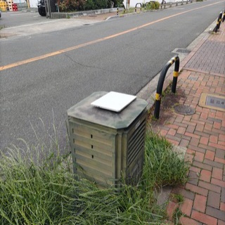 Dumb All Over “バカヤロばかり”