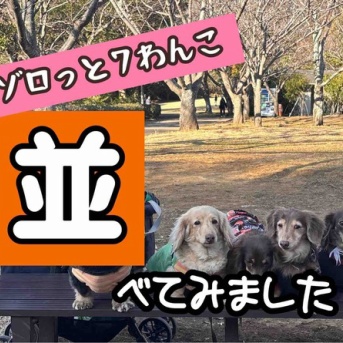 南郷上ノ山公園にて。