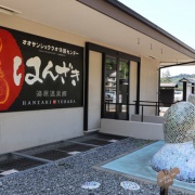 【岡山】　湯原温泉で、はんざきに出会う