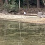 季節を巡るクラシックギターのブログ