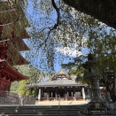 富士山界隈（2025.9.29～10.3）初日