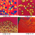 高分子-ミクロの世界-