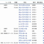 新入一口馬主の活動履歴