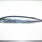 サンマの内臓を残したら「お里が知れる」と話題に