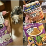 ガオだらけな日々　