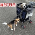 家族257日目