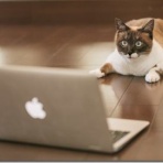 その男、孤独につき