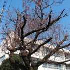 �ػ���ݯ��������ˤ���٤β���