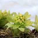 お待ちしてます