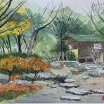 水彩画初心者ブログ　 始めて１年になります