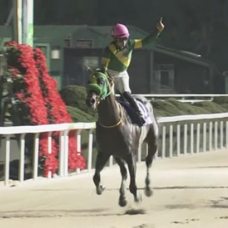競馬総合まとめ速報