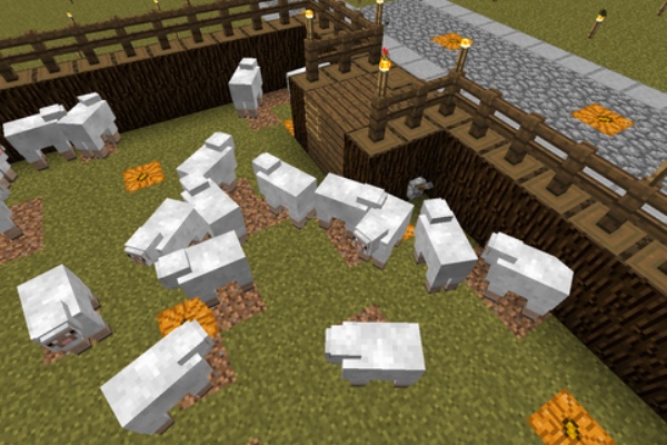 仲間たちのマインクラフト開拓記録 植林場