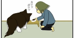 【猫との暮らし】目移りしちゃう猫