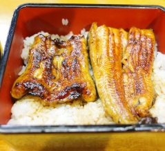 【山形】鶴岡で見つけた鰻と地魚の穴場！通し営業が嬉しすぎる「うなぎ若林」