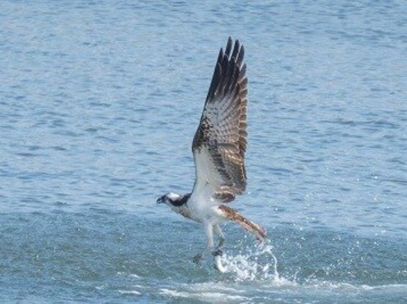 2025年12月23日の野鳥公園