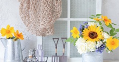 8月の楽しみリスト
