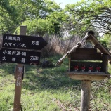 『白谷の丸、白谷の小丸、大蔵高丸、ハマイバ丸　-ツツジと富士山-』の画像