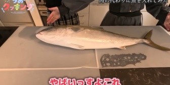 【うおむすめ】マダイ＆マアジ、ブリ解体に大苦戦『マスちゃんの大事さがよくわかる動画』