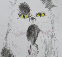 #こんな絵を描いています　#山本京嗣　画　#猫
