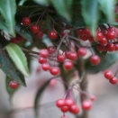 関係を妨害する意識