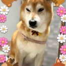 11月22日のお友達❤️