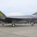 第303飛行隊のF-35記念塗装機