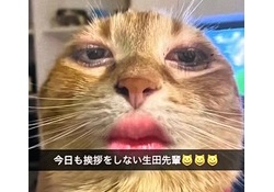 【悲報】モー娘。のエース格さん、裏垢流出で終わる