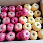 ♪・気まぐれブログ６２０・♪