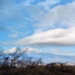 ７Ｋ１ＳＪＭ／頑固で偏屈なヤマヤ