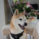 久しぶりのツーショット