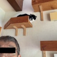 いつか