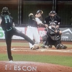 とある鷹好きの黒猫のウィズログ