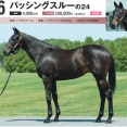 【キャロット】勝手に募集馬見解 その65 パッシングスルーの24