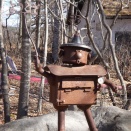 初経が早まる理由　その４　子どもの心のストレスと体の成長