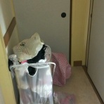 汚部屋卒業目指して。。。