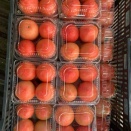 12/2（火）営業します