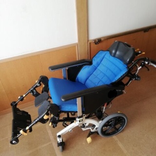 タイプバランスチェッカーをやってみた結果 きいちのポケモン研究所