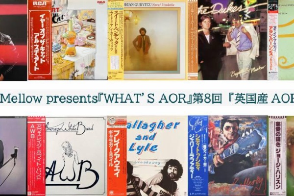 Light Mellow on the web ～ turntable diary ～ - Information