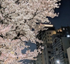 うすうすカーディガンオレンジ系🧡