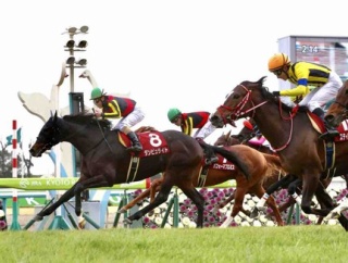 【京都記念＋共同通信杯2026予想】