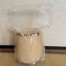 米味噌仕込み　2025年　10月