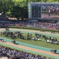 富士ステークス2025　予想見解