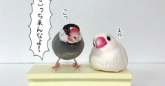 ちょっとヤバい奴