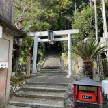 『わたかの島街中散歩』の画像