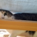 変な子