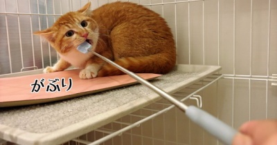 ジーロー氏スパルタ特訓